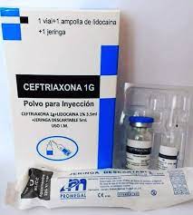 Ceftriaxona 1G Kit+Lid (PROMEGAL)